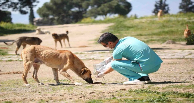 Konak’ta can dostlara özel hizmet