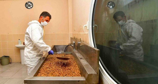 İzmir Büyükşehir Belediyesi'nden Türkiye’de bir ilk