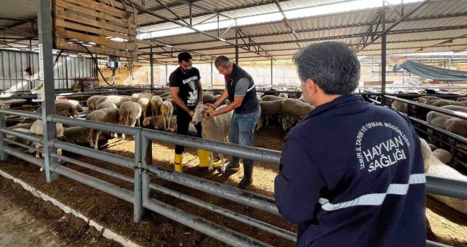 Karşıyaka İlçe Tarım'dan kurban satış yerlerine denetim