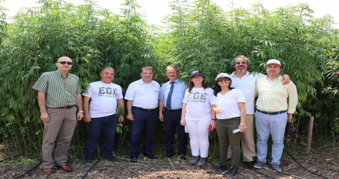 ''Endüstriyel Kenevirin Ege Bölgesi Tarımına Yeniden Kazandırılması'' projesi tanıtım toplantısı yapıldı