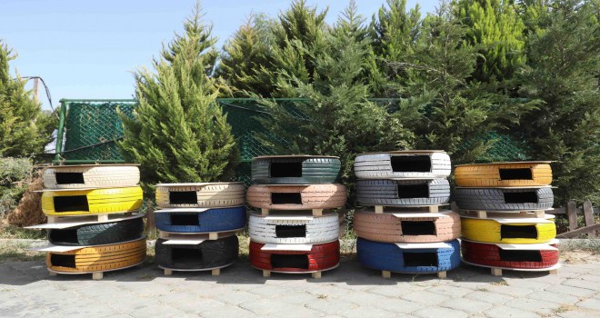 Sıfır atık kedi evi ve dayanıklı beslenme odakları Buca sokaklarında