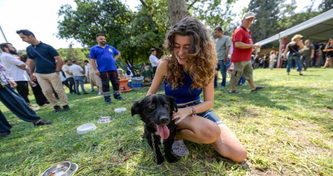 Patili Perşembe ile can dostlar yeni yuvalarına kavuştu