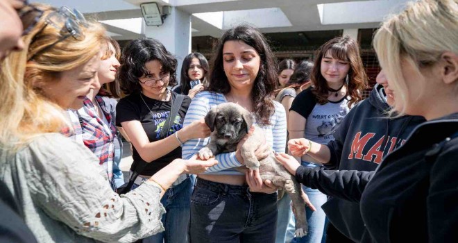 4 Nisan Dünya Sokak Hayvanları Günü PAKO’da kutlandı