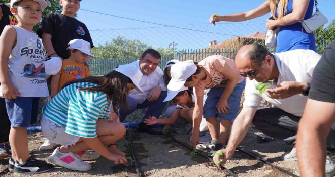 Seferihisar tarımının yeni yıldızı: Ekinezya