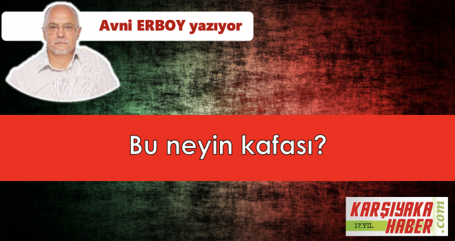 Bu neyin kafası?