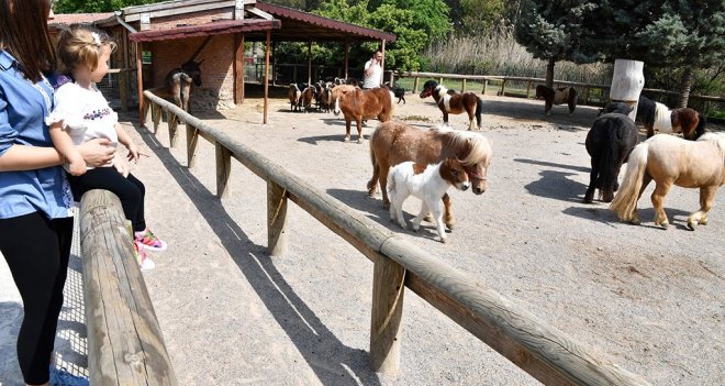 Doğal Yaşam bayram etti