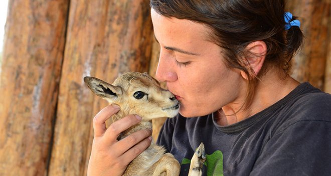 Doğal Yaşam Parkı'nın ziyaretçileri her geçen yıl artıyor