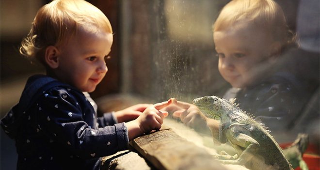 Doğal Yaşam’dan ölümsüz kareler