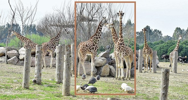 Doğal Yaşam’ın “altın kızları”