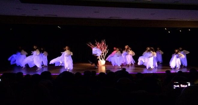 DUYMADILAR AMA KUĞU GİBİ DANSETTİLER...