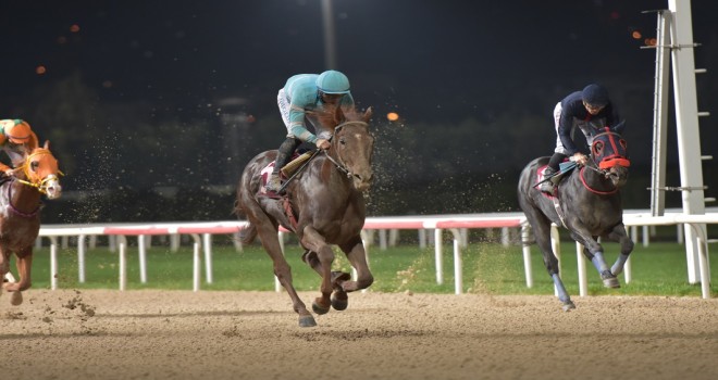 Kitvak Koşusu'nu “Secret Lover”  kazandı