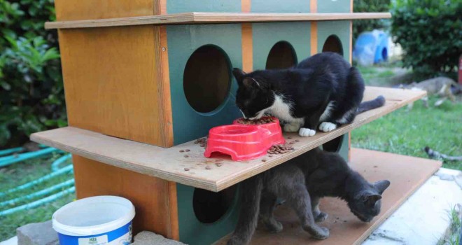 Bayraklı’da can dostlar için bir kap su kampanyası