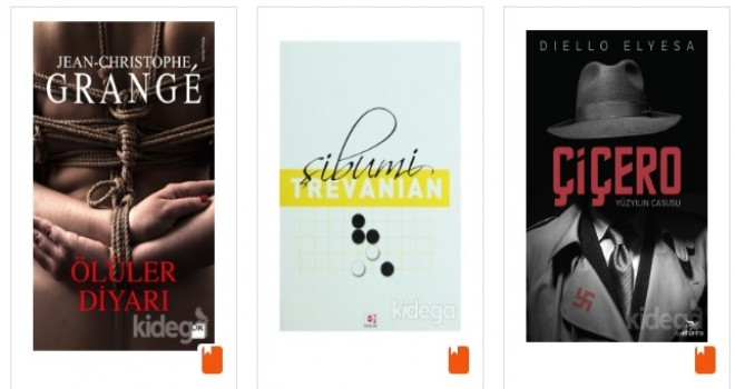 Polisiye Romanları İle Sürükleyici Maceralar