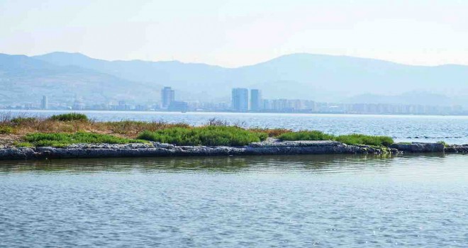 İzmir Körfezi’nde biyolojik çeşitlilik izleme çalışmaları başlıyor
