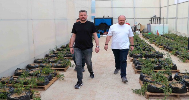 Buca’da sürdürülebilir tarım için önemli hamle