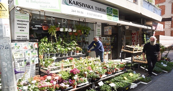Bahçe ve balkonların neşeli adresi çok sevildi
