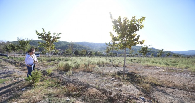 Pamucak Rekreasyon Alanı yürüyüş yoluna kavuşuyor