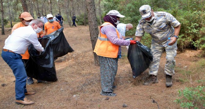 Aliağa’da orman temizliği devam ediyor