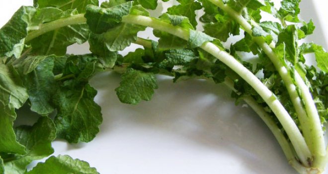 Ege’nin otları ömrü uzatıyor