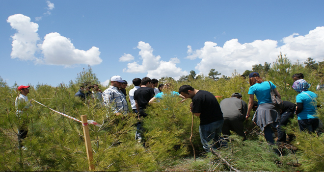 EKOTURİZM'DE YÜKSEK LİSANS FIRSATI