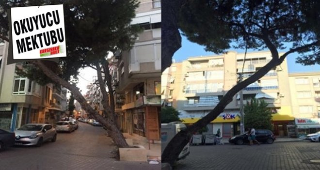 ''Endişe ediyoruz''