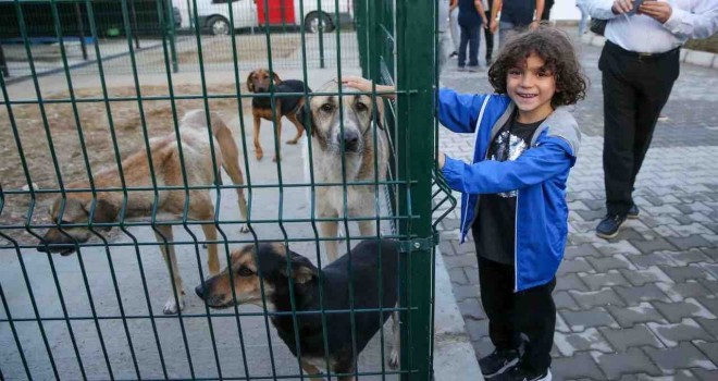 Üç belediyeden can dostlar için 98 bin metrekarelik umut