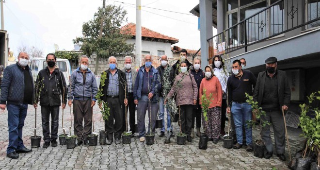 Buca Belediyesi’nden üreticiye 13 çeşit meyve fidanı