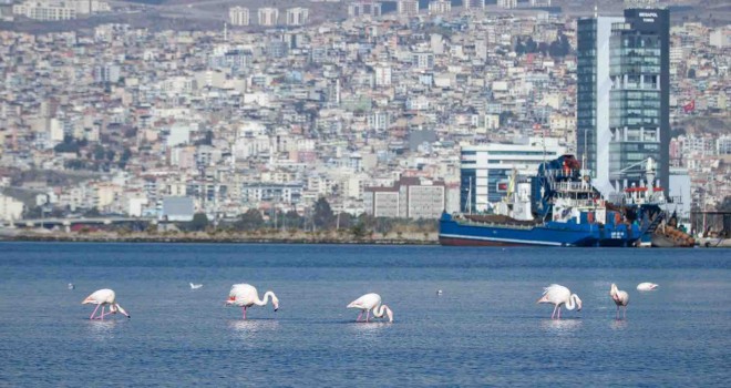 İzmir'de iki ayrı İklim Uyum Eylem Planı hazırlanacak