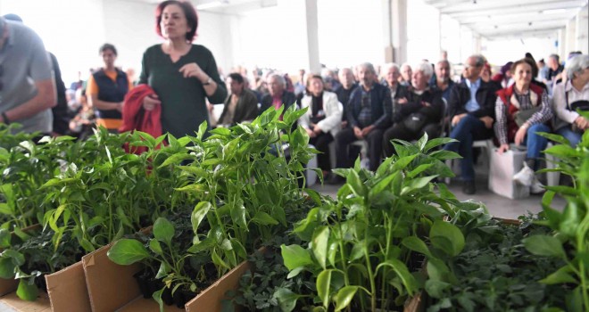 Bornova Belediyesi 500 bin fide dağıtıyor