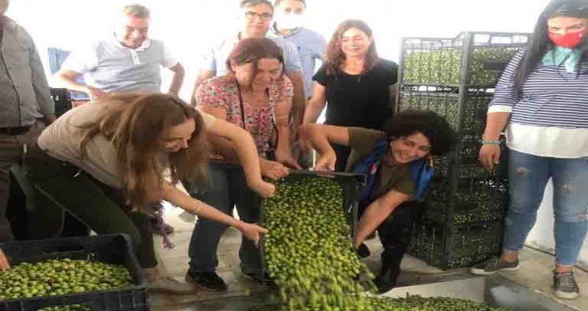 Neptün Soyer: Zeytinliklerimizi korumalıyız