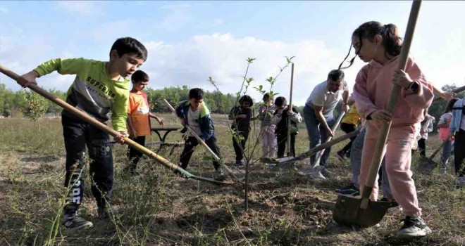 Bornova’da nar ve ayva bahçeleri yeniden canlanıyor