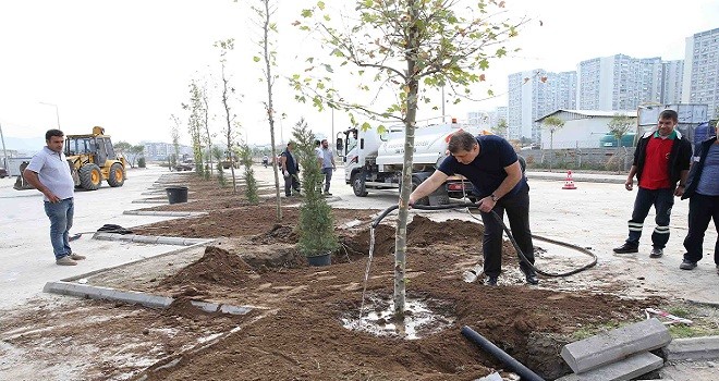 Karşıyaka’da hedef 5 yılda 100 bin fidan dikmek...