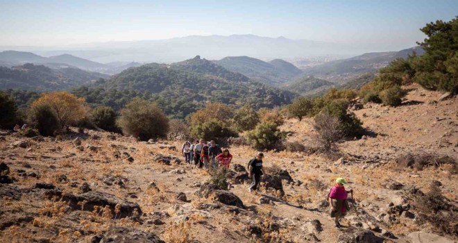Yamanlar Dağı'ndaki yaban hayatı koruma altında