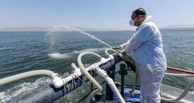 Körfez'de modifiye kil yöntemi olumlu sonuç verdi