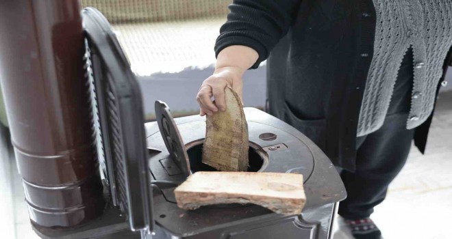 Konak’ta budanan ağaçlar yürekleri ısıtıyor