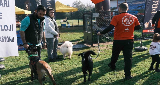 Türkiye’de ilk kez Köpekli Labirent Oryantiring yarışması yapıldı
