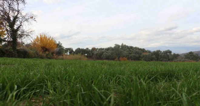 İzmir Büyükşehir'den hayvancılık sektörüne yönelik yeni bir proje