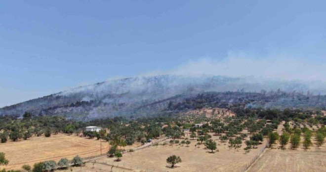 Foça'daki orman yangını kontrol altına alındı