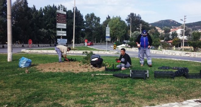 Foça çiçekleniyor