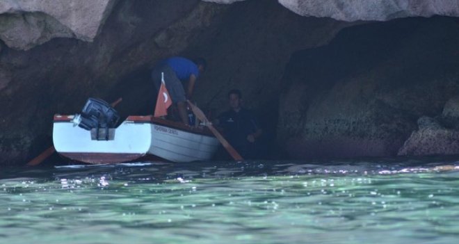 Foça fokları gözlem altında...