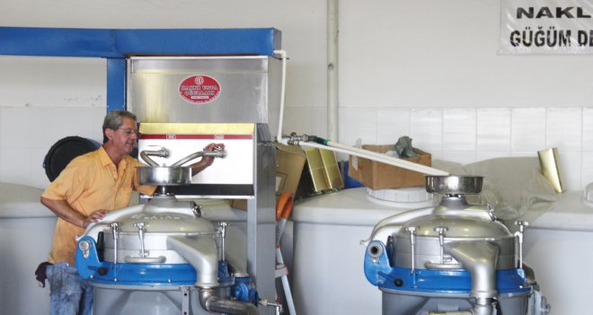 Foça’da erken hasat ilk zeytinyağı sıkımı gerçekleştirildi