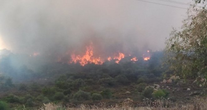 FOÇA'DA ORMAN YANGINI