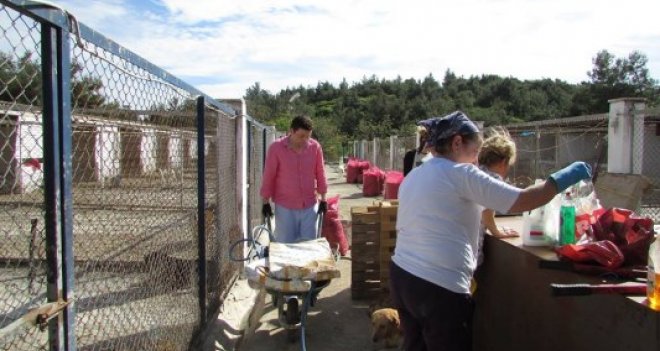 HAYAD barınaktaki canlar için bahar temizliği yaptı
