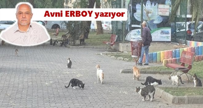 Hayvan sevgisi bu değil...