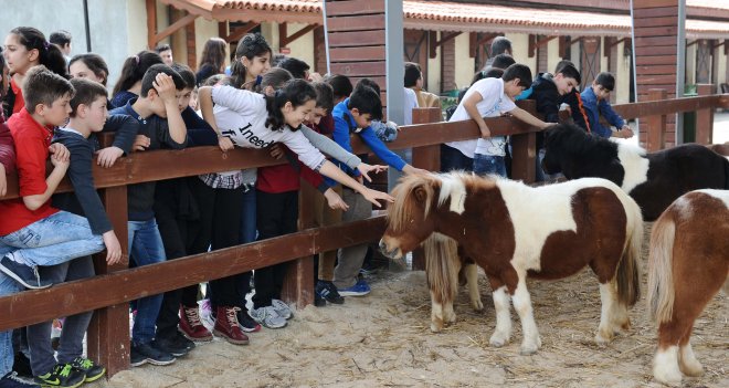 Hayvan sevgisine engel yok
