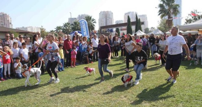 Hayvanseverler Pati Festivali’nde buluştu