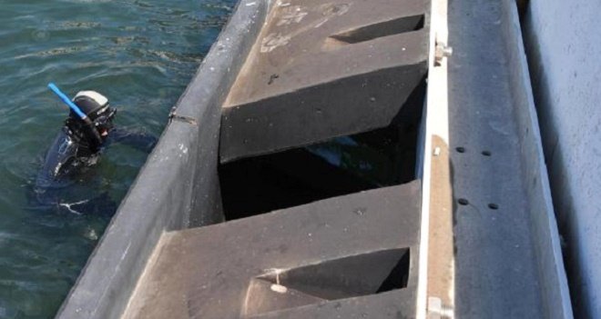 İskelede kedi kurtarma operasyonu...