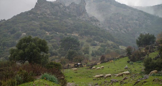 İzmir Barosu: Yamanlar, suyu lezzetli çöpsüz bir dağ olarak kalmalıdır