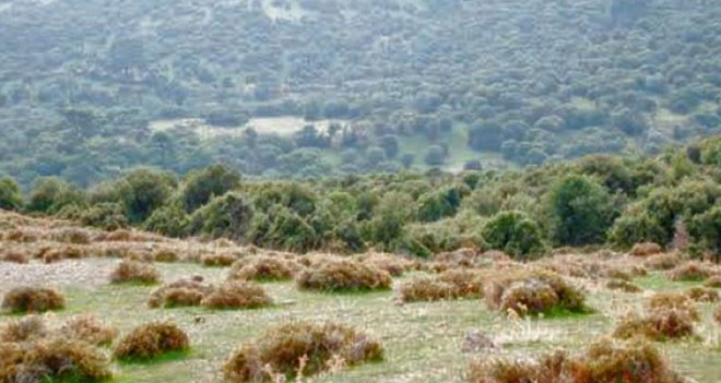 İzmir Barosu'nun Yamanlar Katı Atık Tesisi'yle ilgili talebi kabul edildi