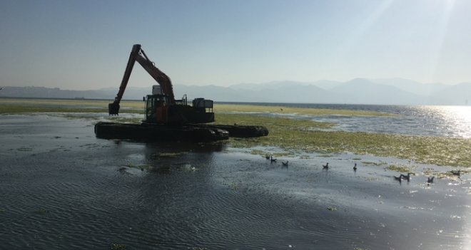 İzmir Körfezi'ndeki yeşil örtünün beyazlaşmasıyla ilgili açıklama geldi